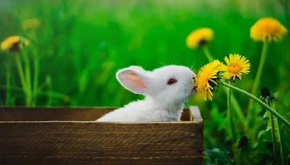 九游网页版官网-巴萨阵地组织持续打出高质量配合，巴萨球队阵型